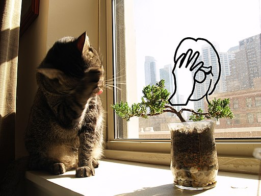 7 Ways to Create a Clean and Pet-Friendly Home